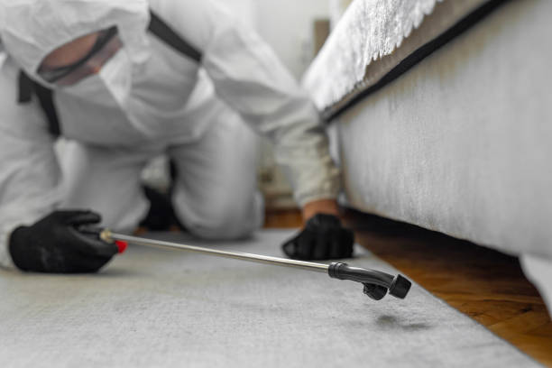 Professional Termite Control technician working in Corralitos, CA
